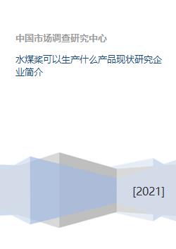 水煤桨可以生产什么产品现状研究企业简介