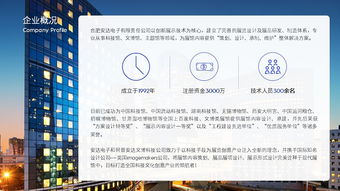原创定制级 电子公司简介